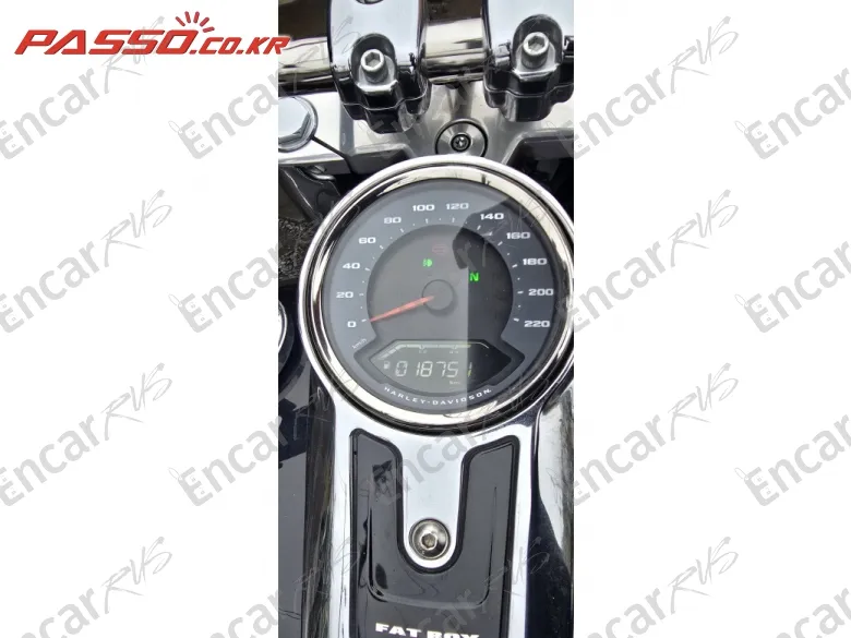HARLEY-DAVIDSON FAT BOY 114 - фото 3