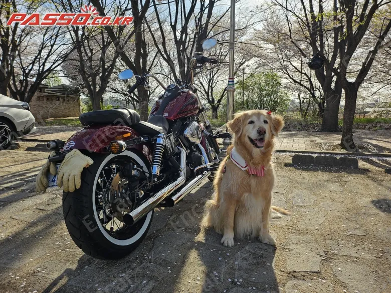Harley-Davidson Fxdbi - фото 2