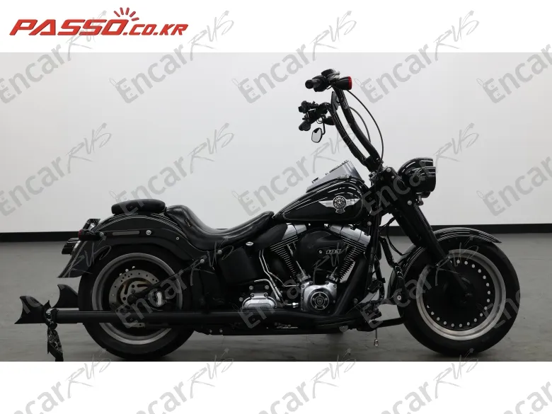 Harley-Davidson Flstf - фото 0