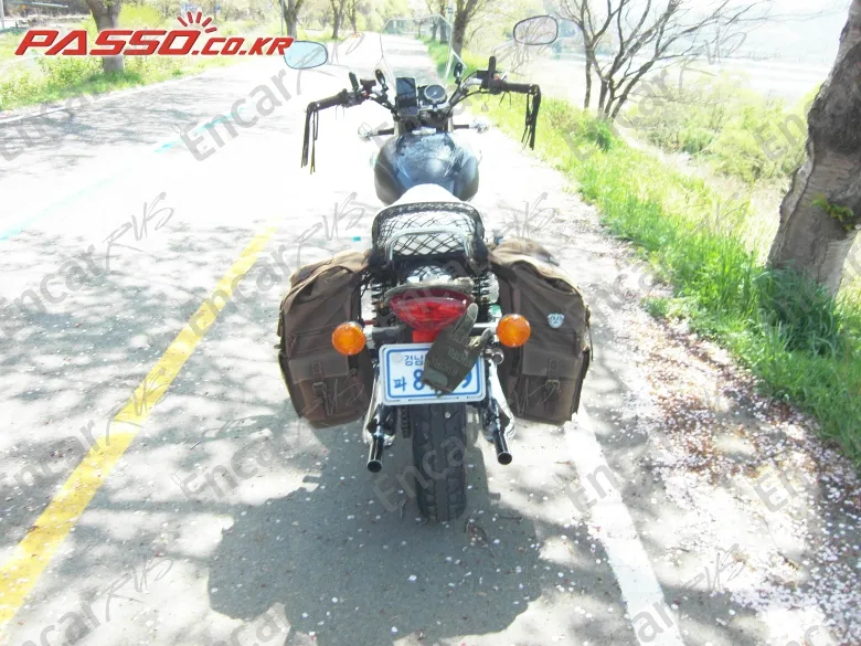 Kawasaki W 800 - фото 2