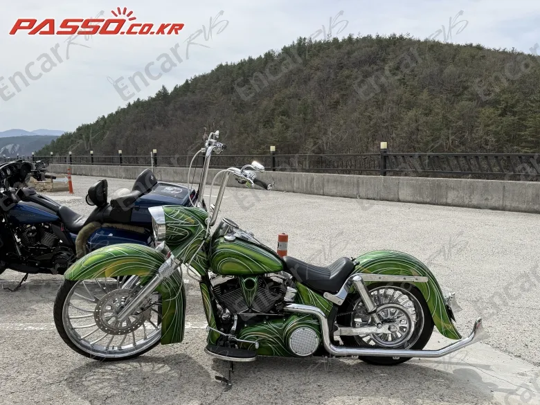 Harley-Davidson Flstc - фото 1