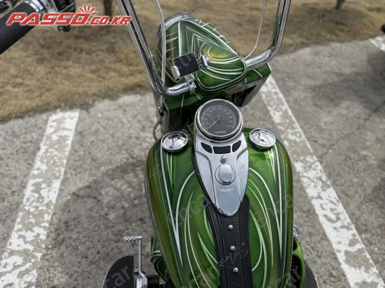 Harley-Davidson Flstc - фото 3