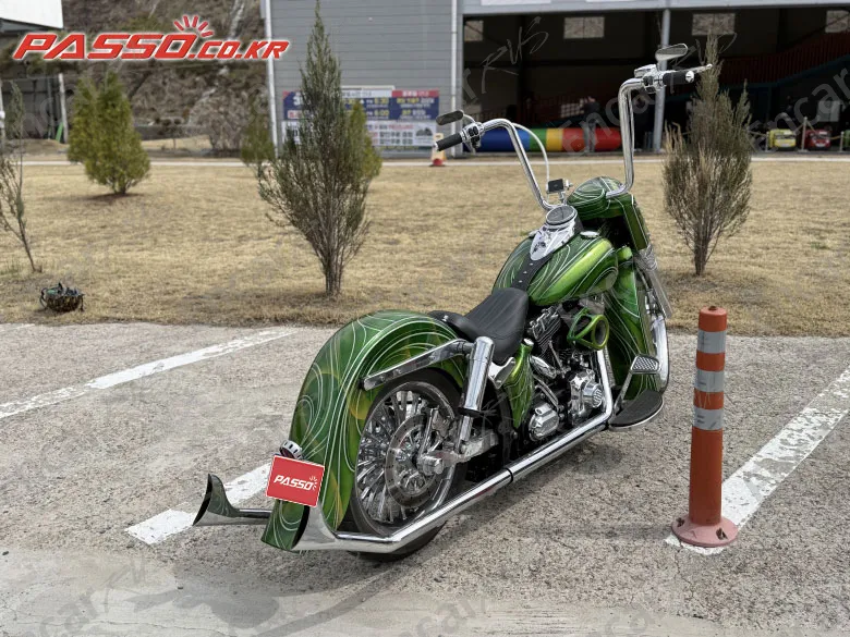 Harley-Davidson Flstc - фото 6