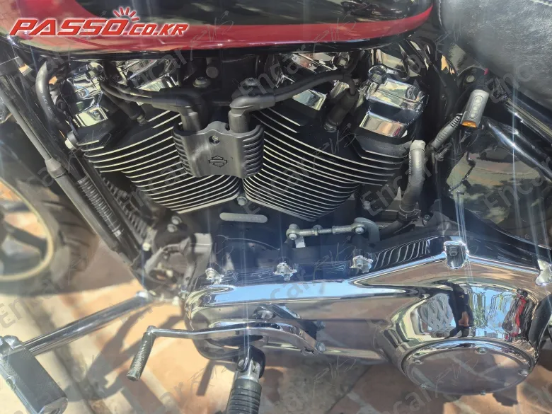 HARLEY-DAVIDSON SOFTAIL LOW RIDER - фото 4