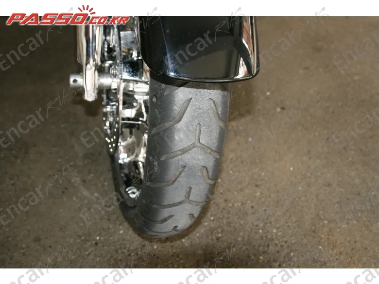 Harley-Davidson Fltru - фото 5