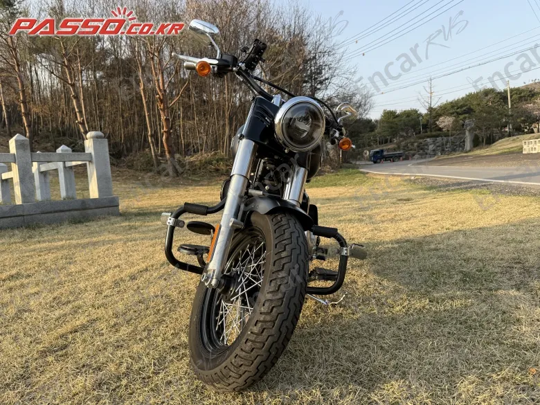Harley-Davidson Fxst - фото 5