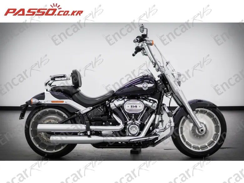 HARLEY-DAVIDSON FAT BOY 114 - фото 0