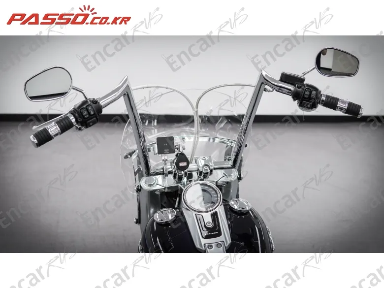 HARLEY-DAVIDSON FAT BOY 114 - фото 3