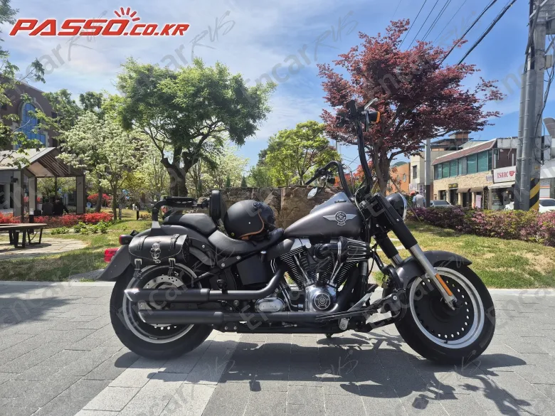 Harley-Davidson Flstfb - фото 0