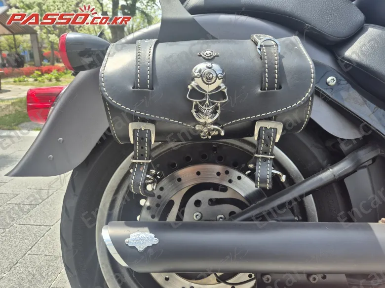 Harley-Davidson Flstfb - фото 6