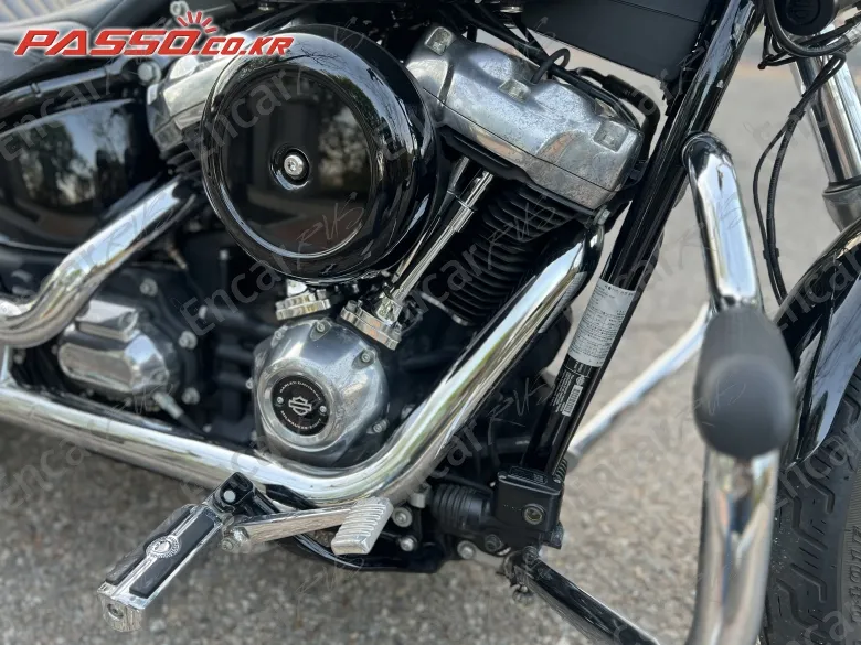 HARLEY-DAVIDSON SOFTAIL STANDARD - фото 4