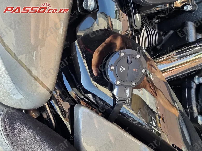 Harley-Davidson Fltrse3 - фото 4
