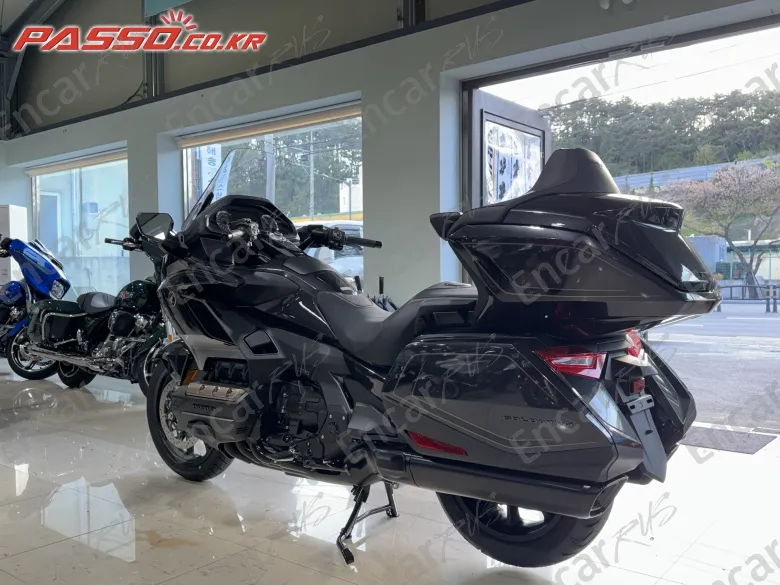 Honda Goldwing Tour Mt - фото 6