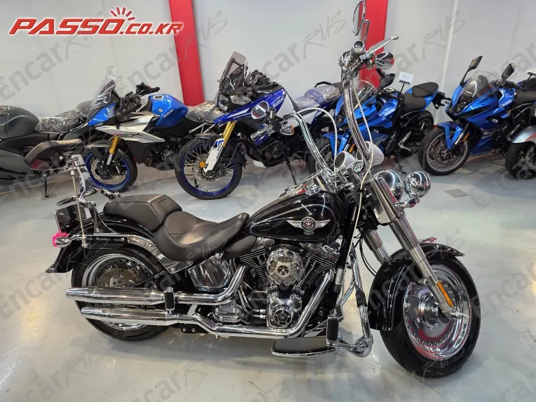 Harley-Davidson Flstf - фото 0