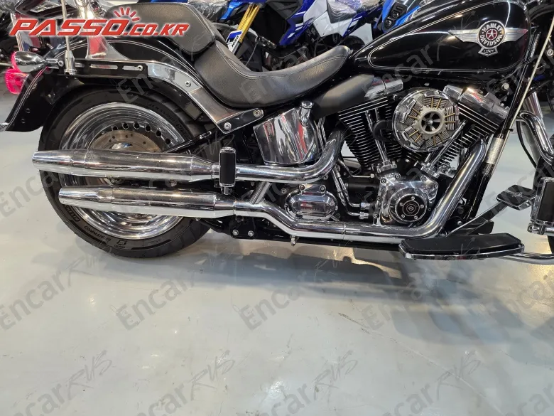 Harley-Davidson Flstf - фото 6