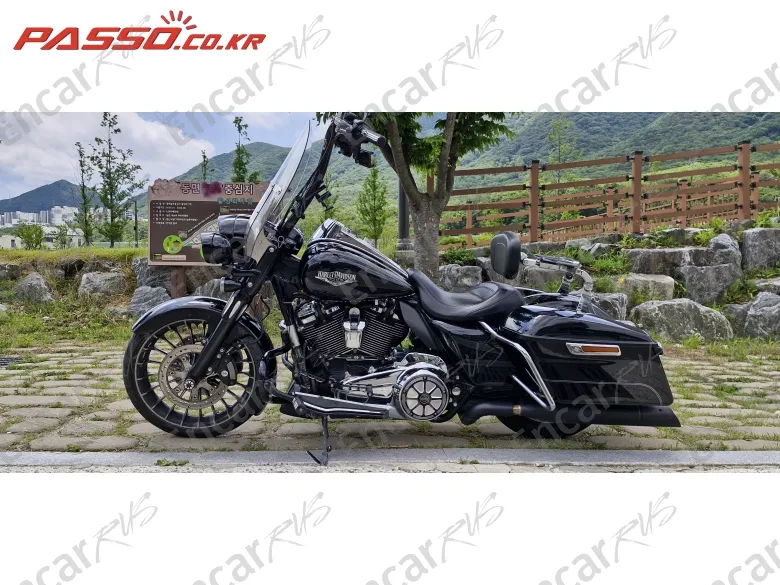 HARLEY-DAVIDSON FLHRSE - фото 0