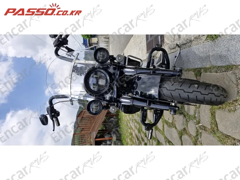 HARLEY-DAVIDSON FLHRSE - фото 2