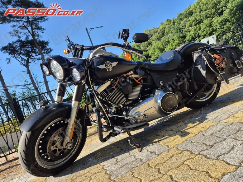 Harley-Davidson Flstfb - фото 1