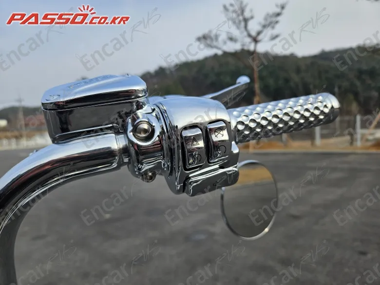 Harley-Davidson Flstn - фото 3