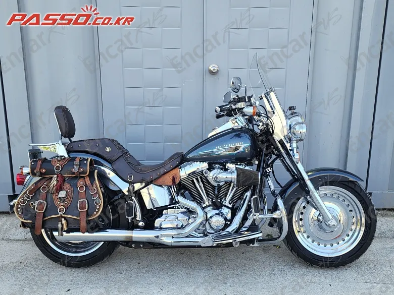 Harley-Davidson Flstf - фото 0