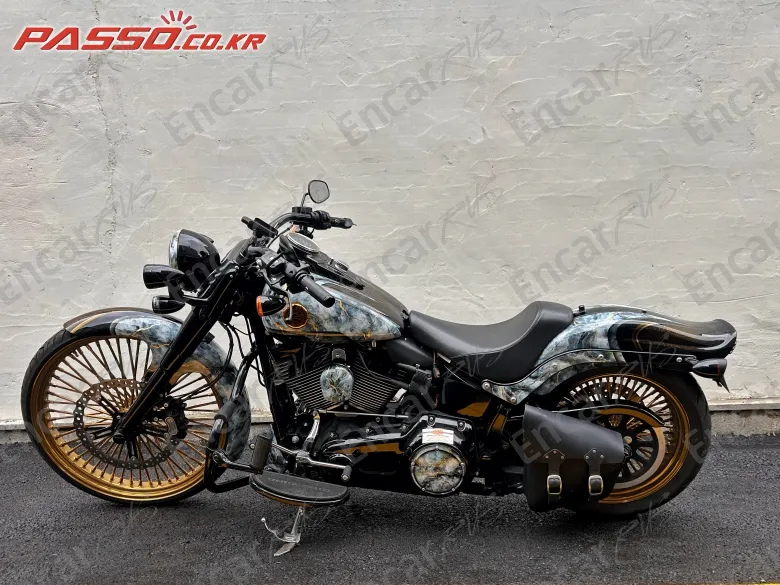 Harley-Davidson Softail Slim S - фото 1
