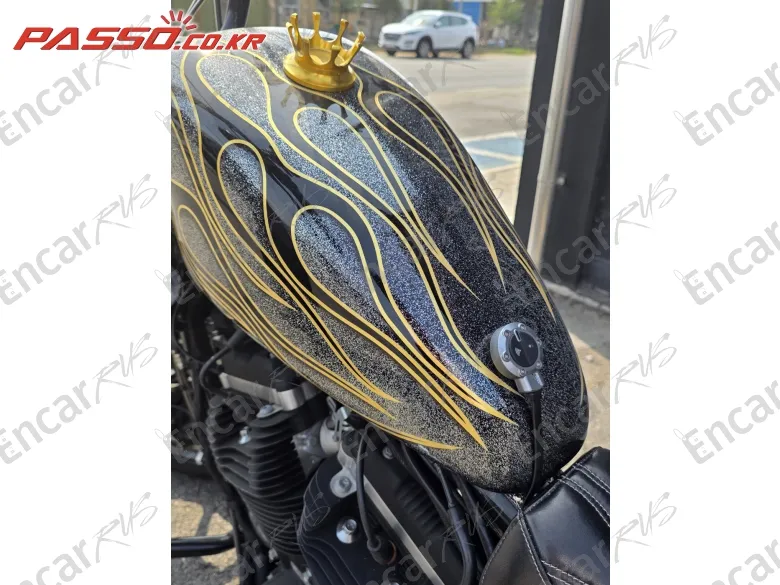 Harley-Davidson Xl 883 N - фото 4