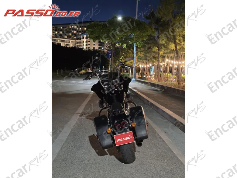 Harley-Davidson Fxdf - фото 2