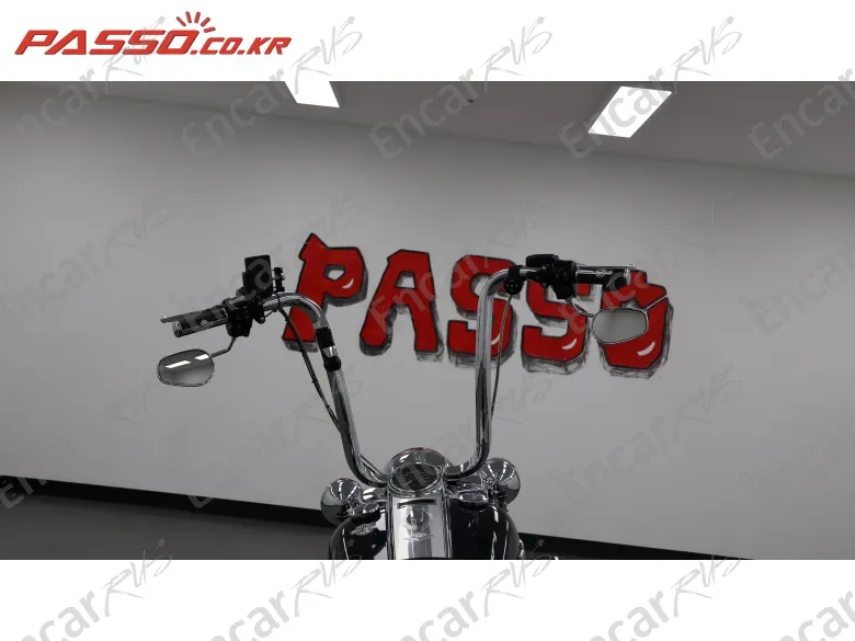 HARLEY-DAVIDSON FLHR - фото 3