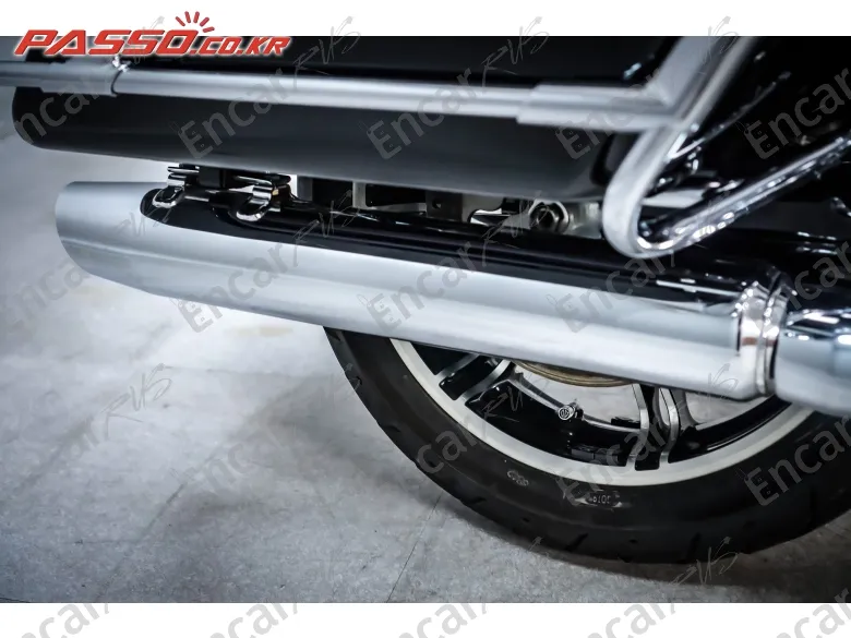 Harley-Davidson Fltru - фото 6