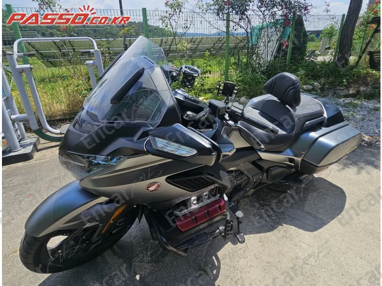 Honda Goldwing Mt - фото 1