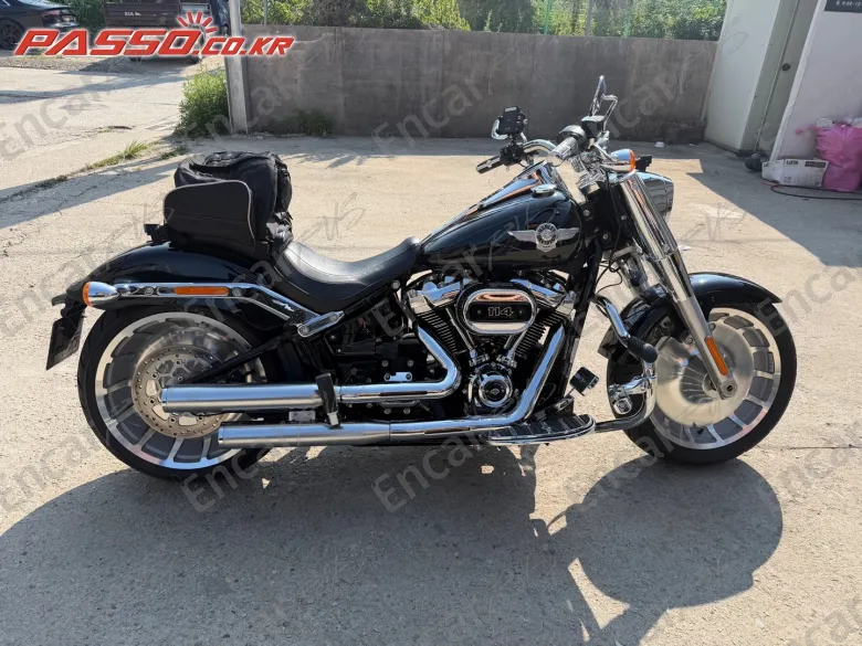 HARLEY-DAVIDSON FAT BOY 114 - фото 0