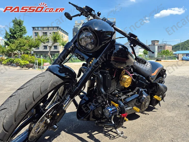 Harley-Davidson Cvo Breakout - фото 3