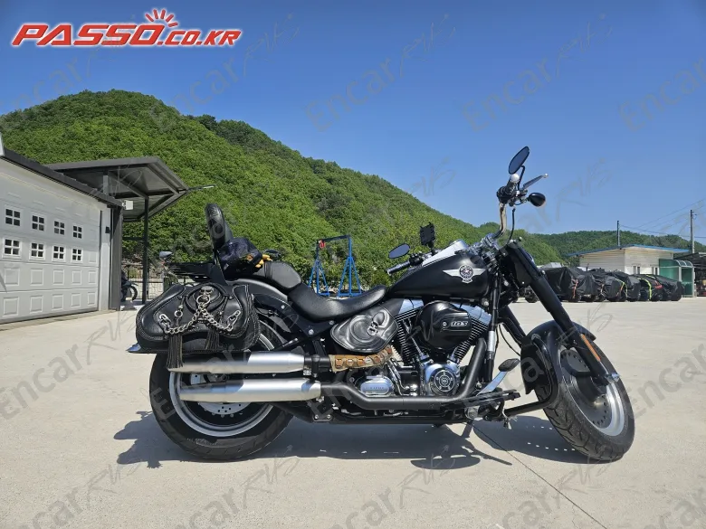 Harley-Davidson Flstfb - фото 0
