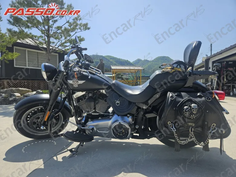 Harley-Davidson Flstfb - фото 1