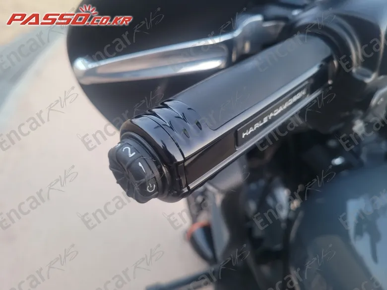 Harley-Davidson Low Rider St - фото 3