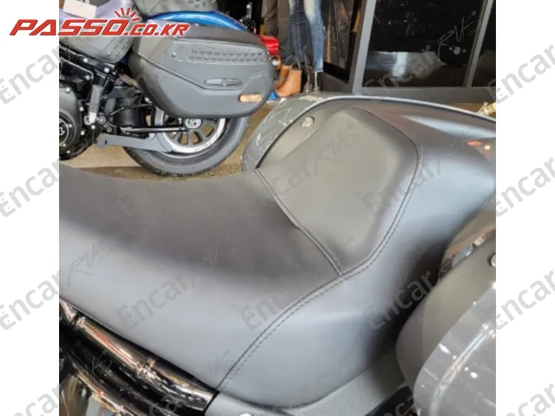 Harley-Davidson Low Rider St - фото 6