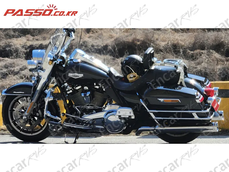 Harley-Davidson Flhr - фото 1