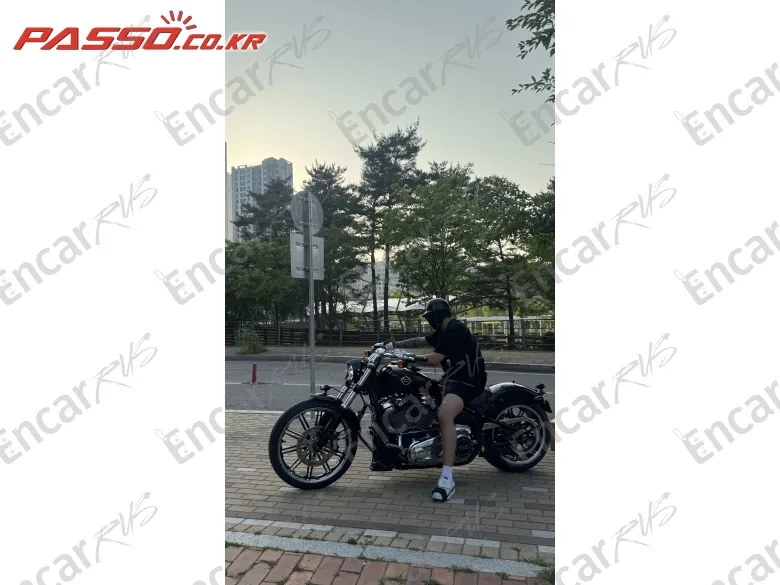 HARLEY-DAVIDSON BREAKOUT 114 - фото 3