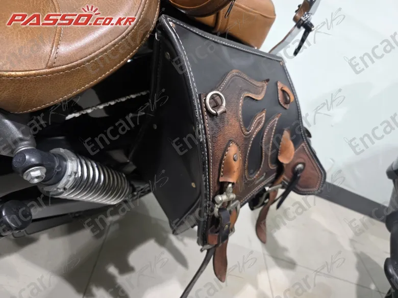 Indian Scout Abs - фото 6