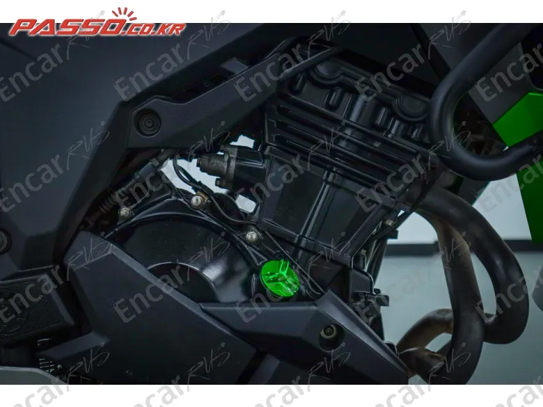 Kawasaki Versys X 300 Abs - фото 4