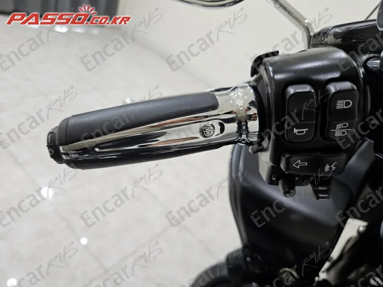 Harley-Davidson Fltru - фото 3