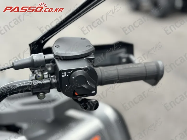 Aodes Pathcross 650 - фото 3