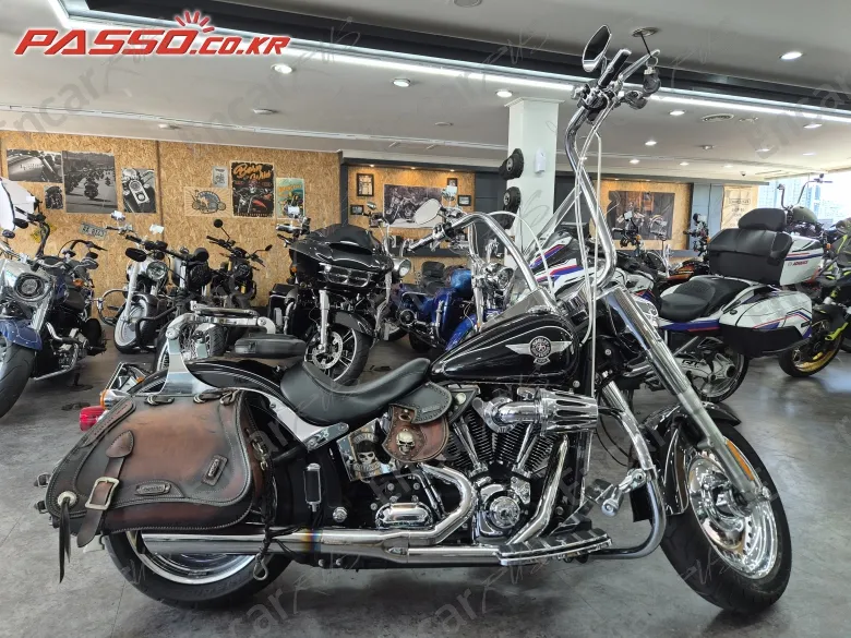 Harley-Davidson Flstf - фото 0