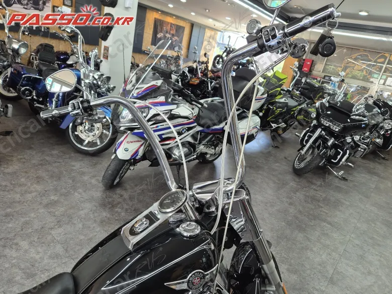 Harley-Davidson Flstf - фото 3