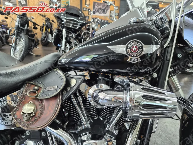 Harley-Davidson Flstf - фото 4
