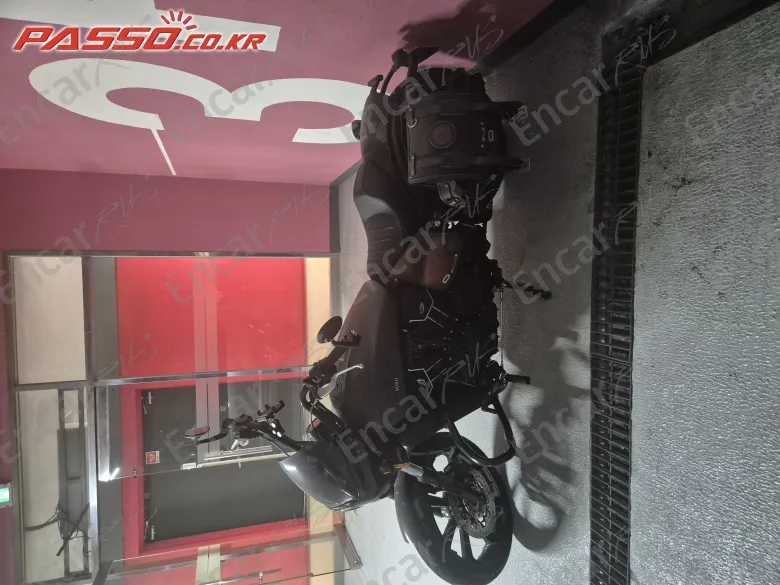 INDIAN SCOUT ROGUE - фото 1