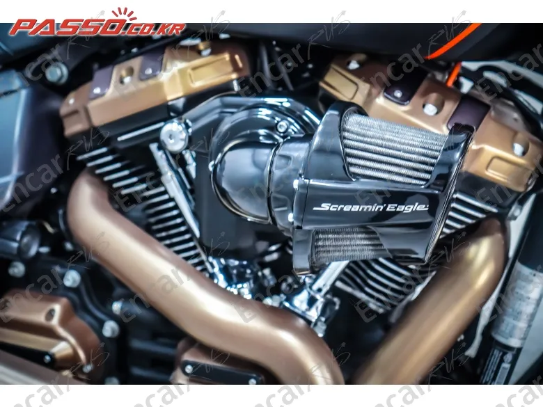 Harley-Davidson Fxdr 114 - фото 4