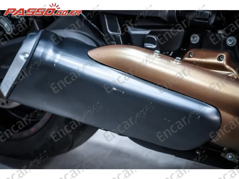 Harley-Davidson Fxdr 114 - фото 6