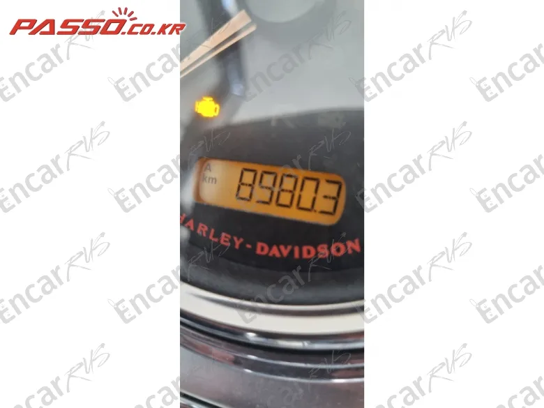 Harley-Davidson Flhr - фото 3