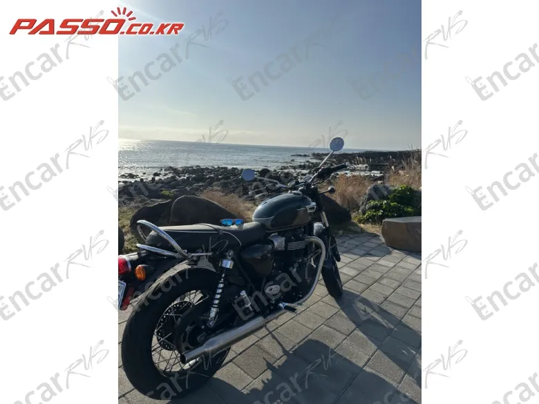 Triumph Bonneville T100 - фото 2